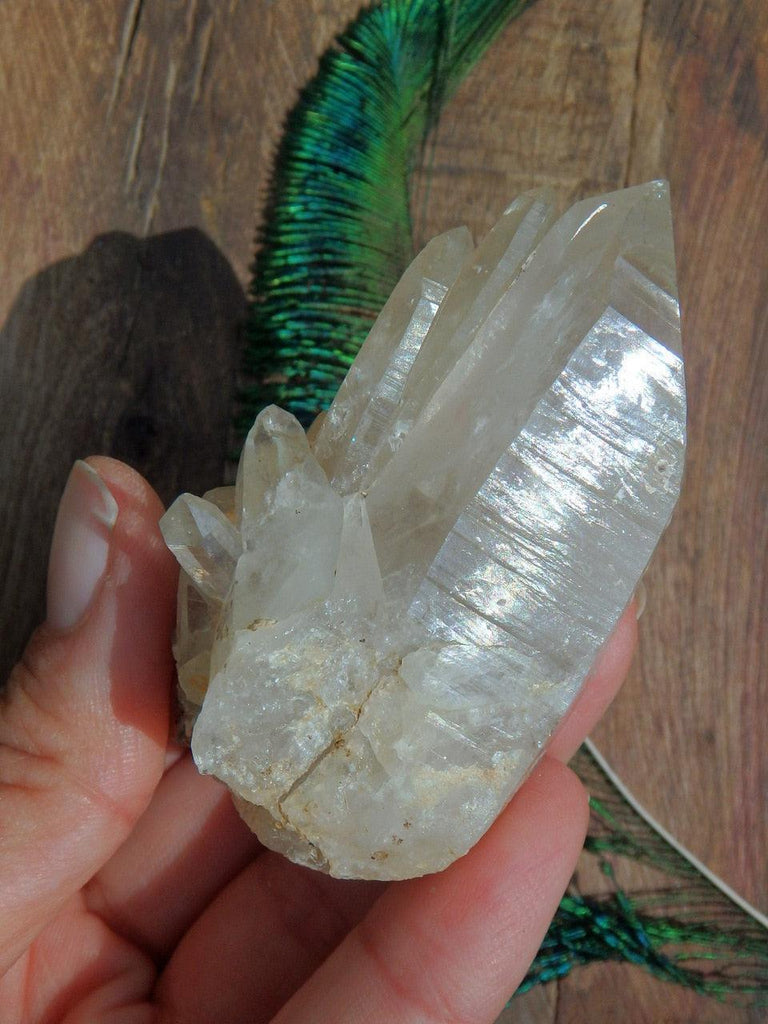 Multi Point Clear Quartz Cluster Specimen From Montana - Earth Family Crystals