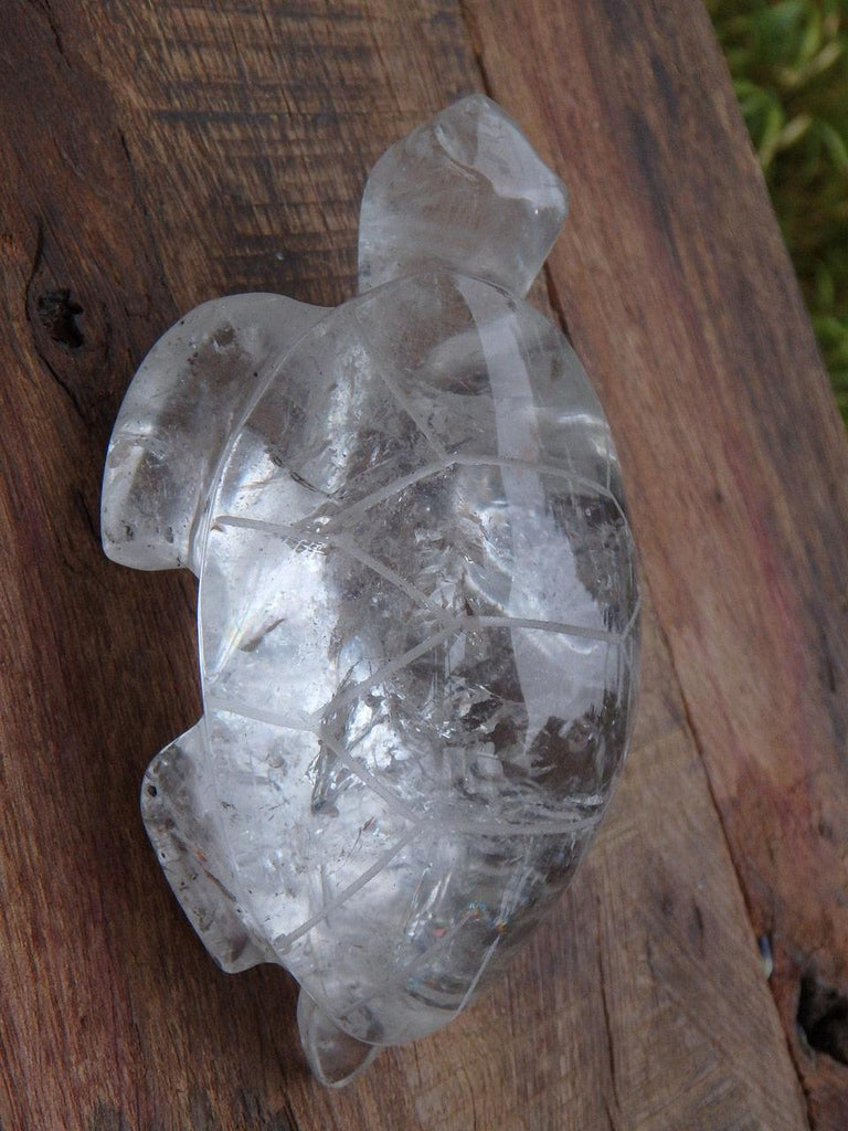 Pretty Rainbows Curious Clear Quartz Turtle Carving - Earth Family Crystals