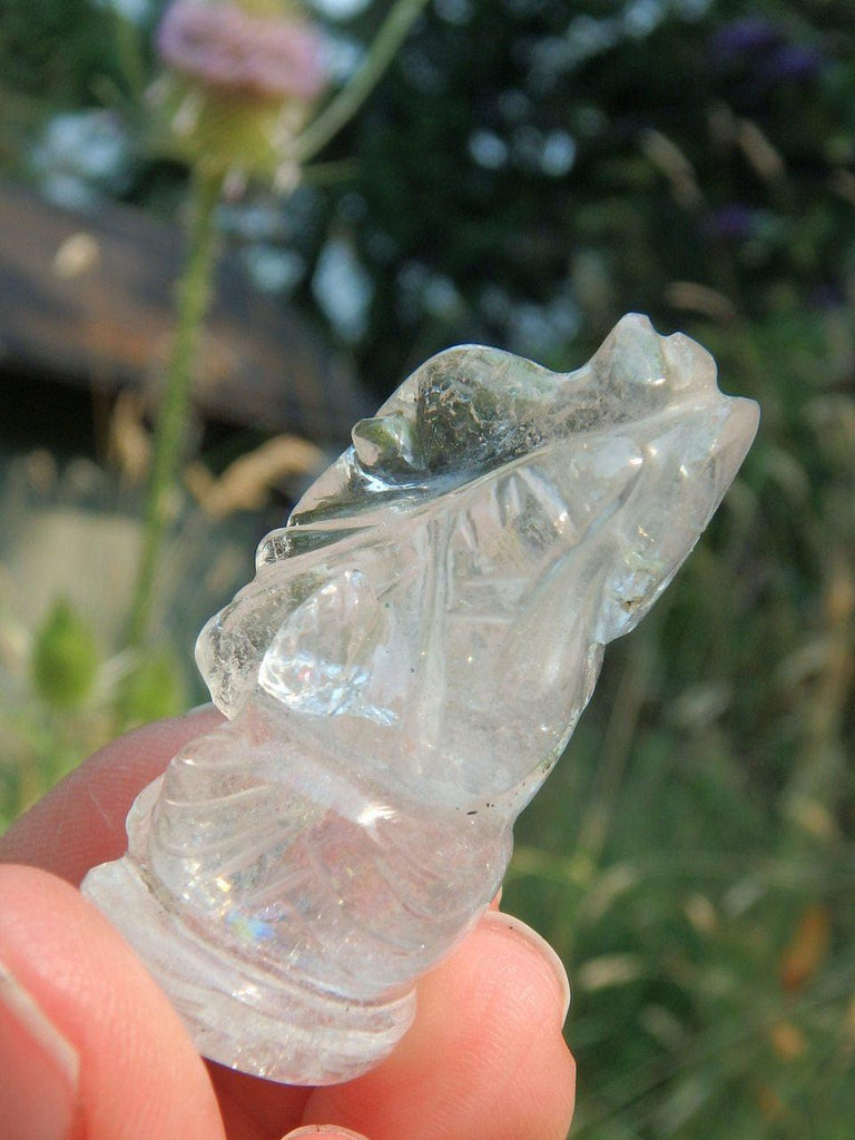 Adorable & Small Ganesha Clear Quartz Display Specimen - Earth Family Crystals