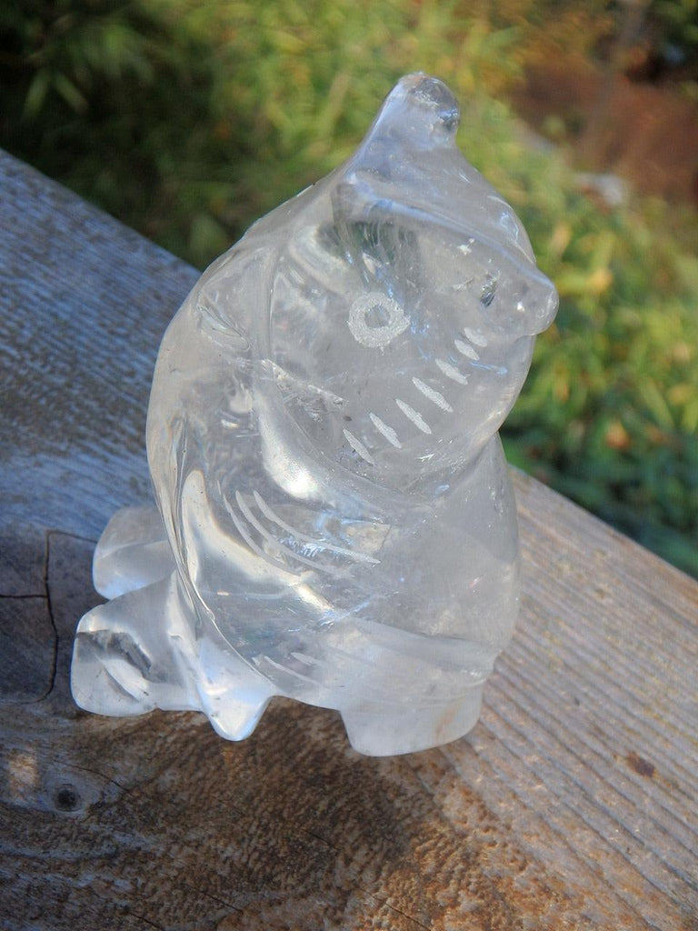Wise Old Owl Clear Quartz Display Carving - Earth Family Crystals