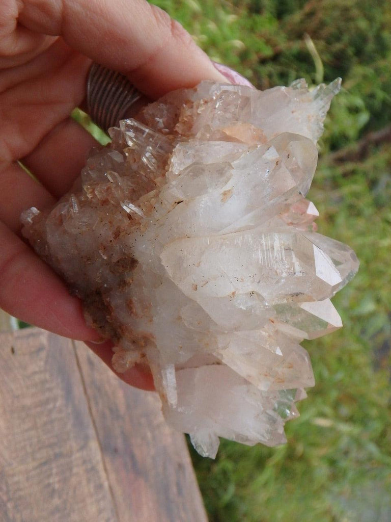 Stunning Arkansas Golden Healer Clear Quartz Cluster With Self Healing - Earth Family Crystals