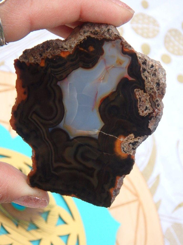 Amazing Partially Polished Condor Agate Specimen From Argentina - Earth Family Crystals