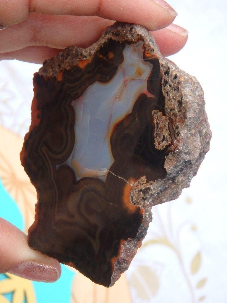 Amazing Partially Polished Condor Agate Specimen From Argentina - Earth Family Crystals