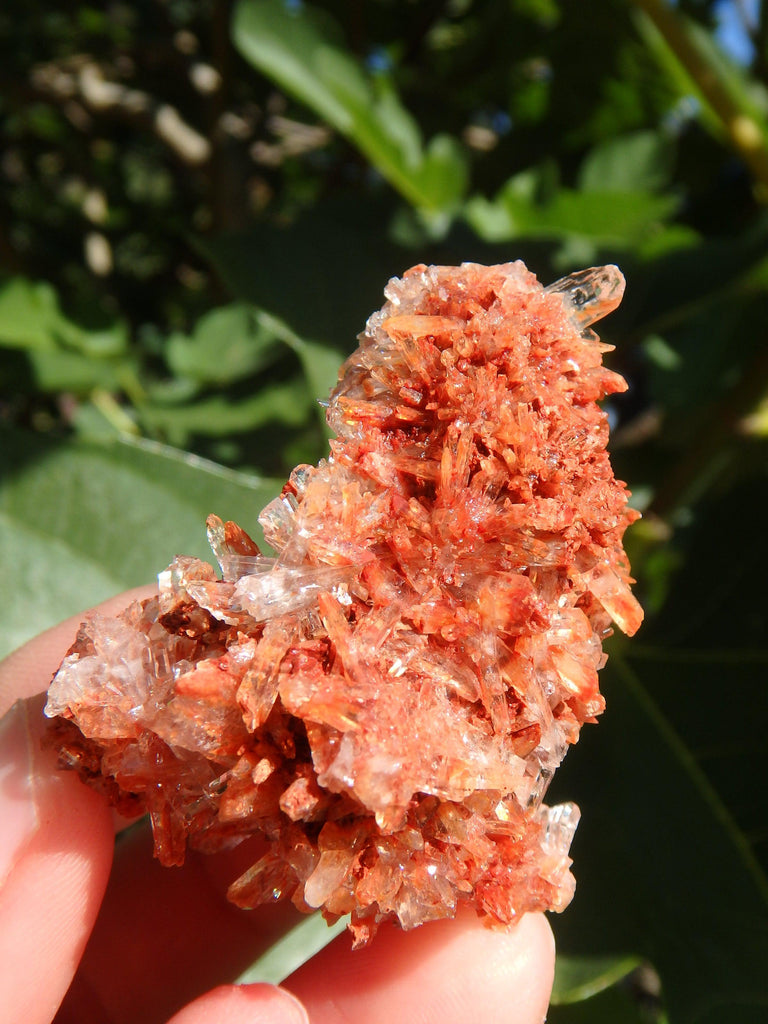 Shimmering Druzy Natural Creedite Cluster from Mexico - Earth Family Crystals