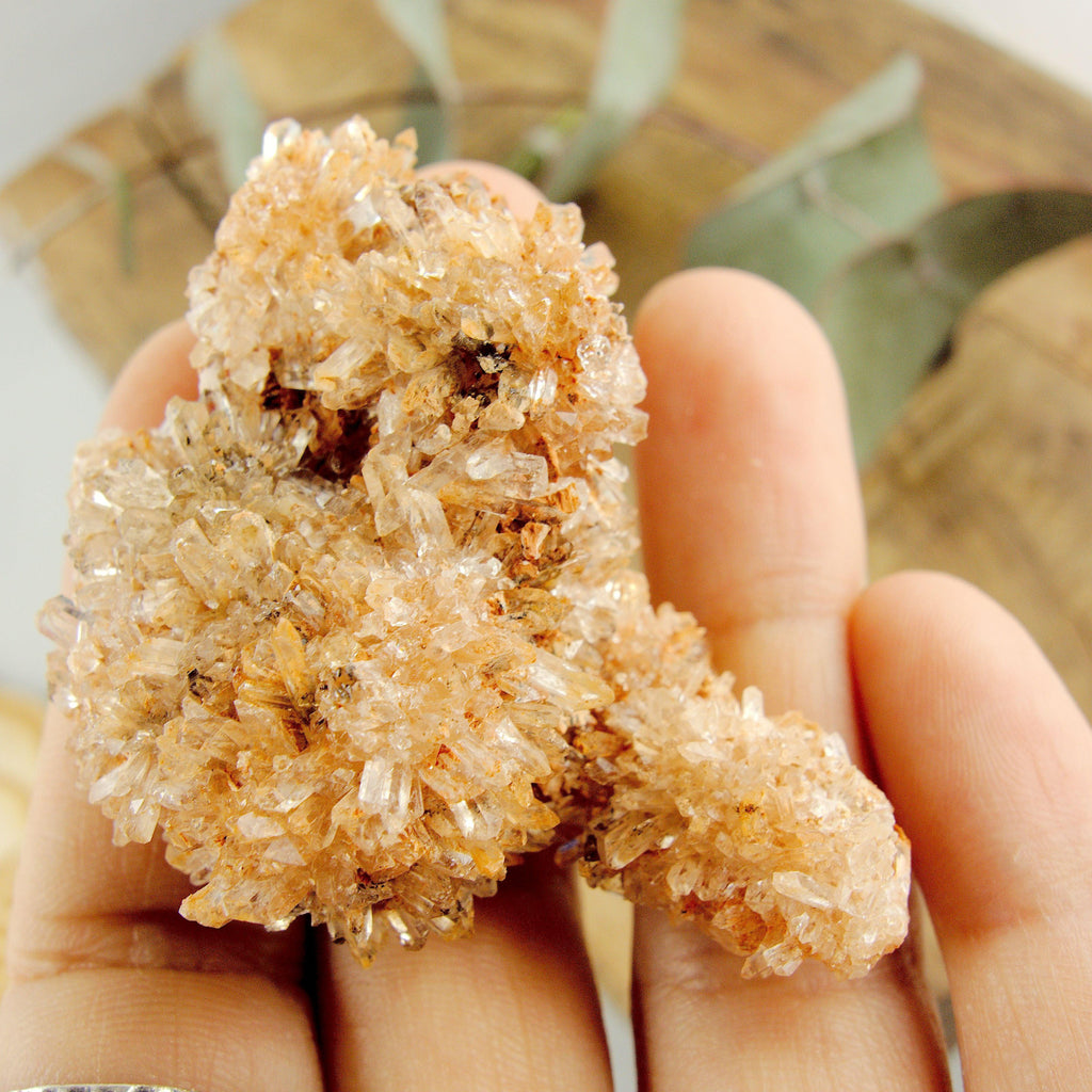 Stunning Orange Druzy Natural Creedite Specimen From Mexico1 - Earth Family Crystals