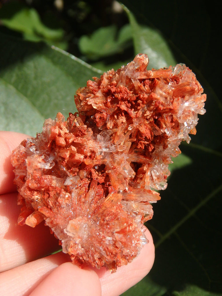 Shimmering Druzy Natural Creedite Cluster from Mexico - Earth Family Crystals