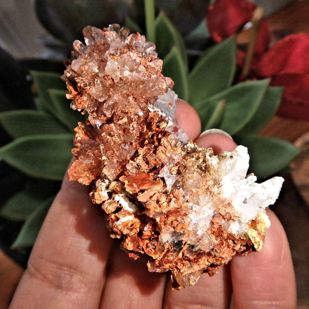 Sparkling Raw Orange Spiky Creedite & Fluorite Crusted Specimen From Mexico - Earth Family Crystals