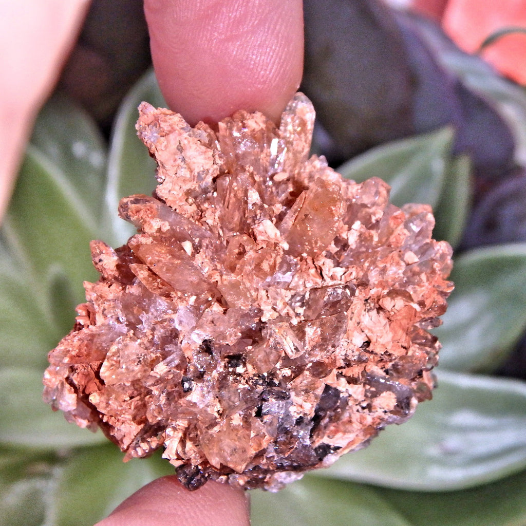 Adorable Orange & Black Hedgehog Creedite Cluster From Mexico - Earth Family Crystals