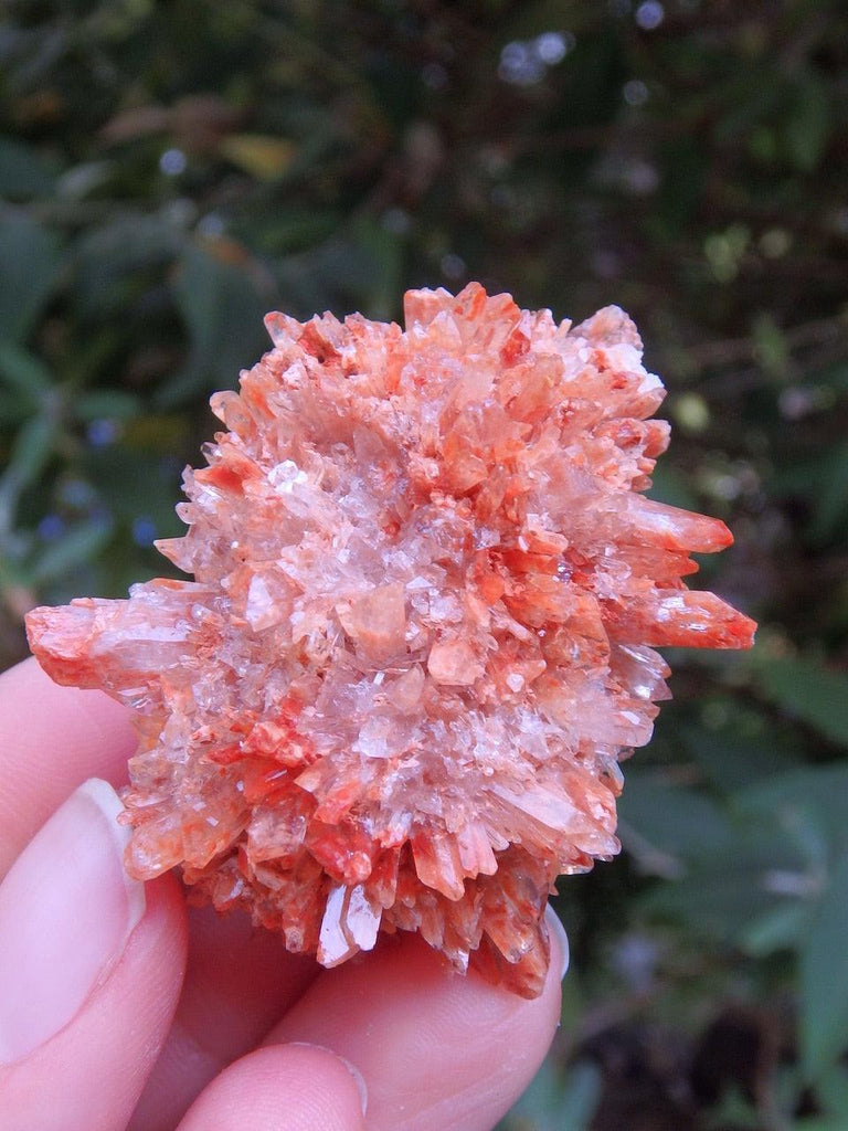 Spiky Orange Creedite Hedgehog Hand Held Cluster From Mexico 2 - Earth Family Crystals