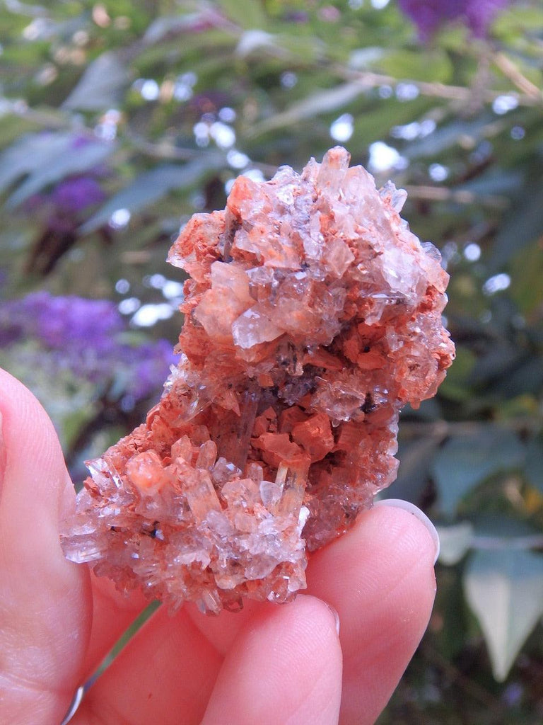 Spiky Orange Creedite Hedgehog Hand Held Cluster From Mexico 3 - Earth Family Crystals