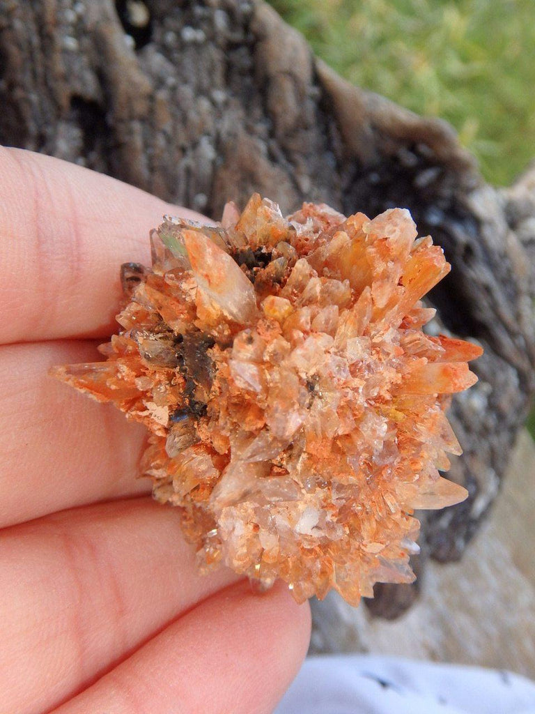 Cute Orange Creedite Hedgehog Cluster Specimen 2 - Earth Family Crystals