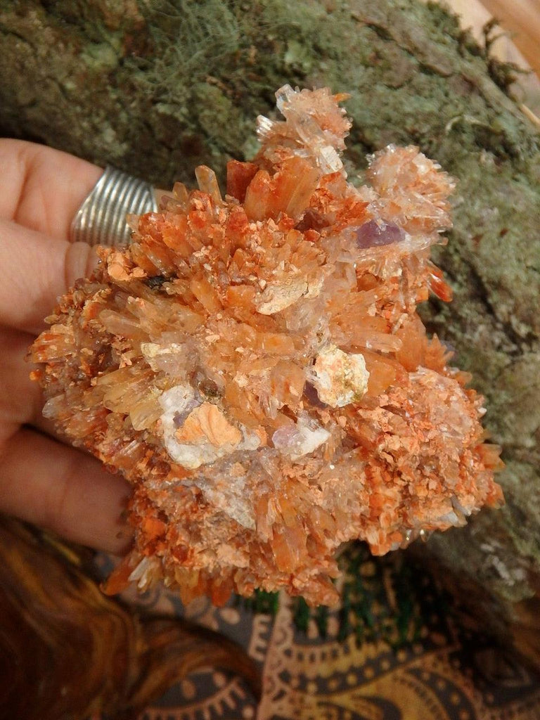 Lovely Large Orange Creedite Hedgehog Cluster From Mexico - Earth Family Crystals