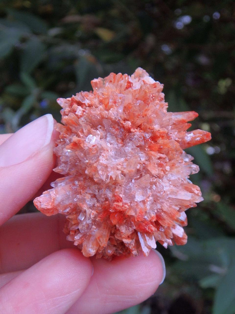 Spiky Orange Creedite Hedgehog Hand Held Cluster From Mexico 2 - Earth Family Crystals