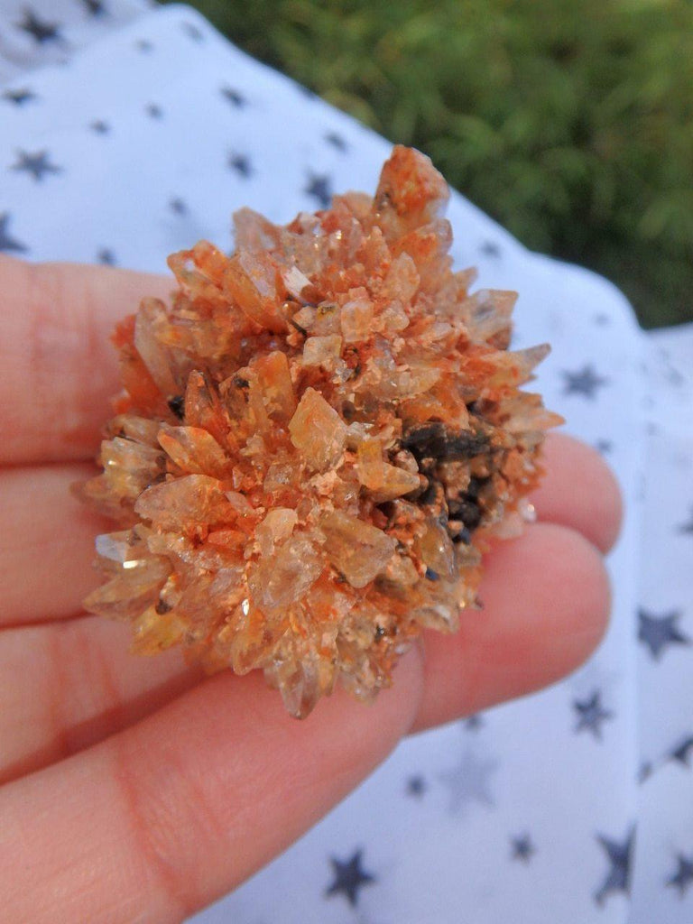 Cute Orange Creedite Hedgehog Cluster Specimen 2 - Earth Family Crystals