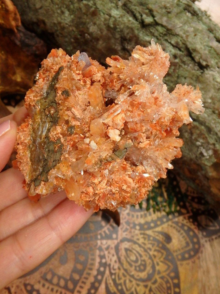 Lovely Large Orange Creedite Hedgehog Cluster From Mexico - Earth Family Crystals