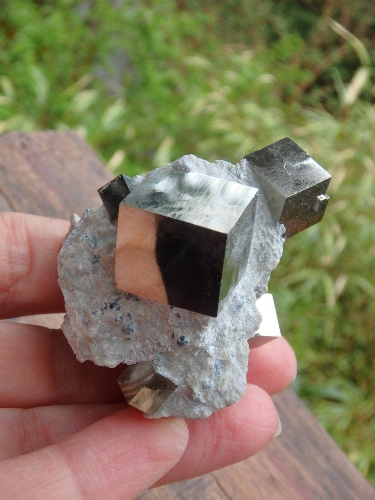 Amazing Natural Multi Cubic Pyrites Nestled in Matrix - Earth Family Crystals