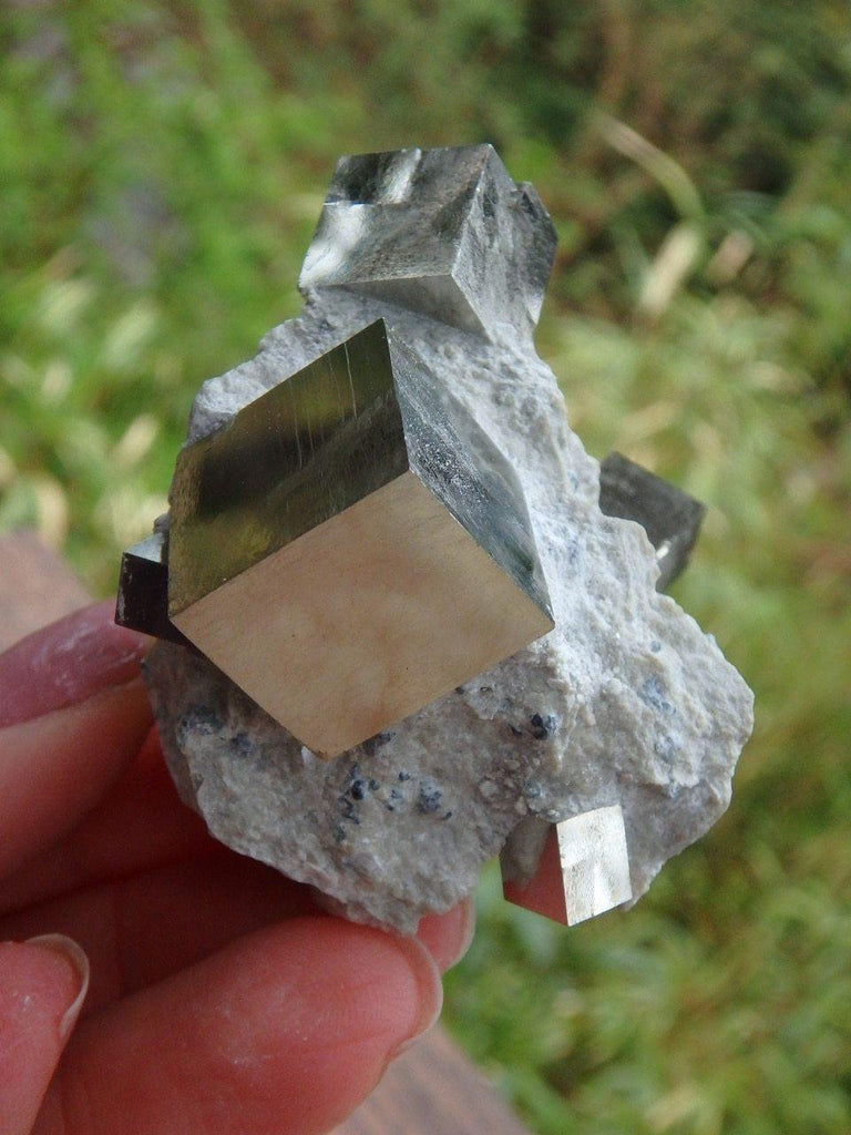 Amazing Natural Multi Cubic Pyrites Nestled in Matrix - Earth Family Crystals