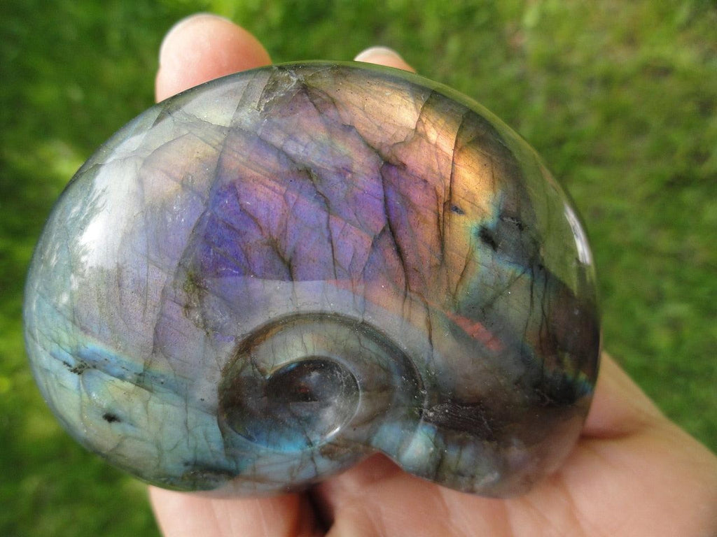 LABRADORITE AMMONITE CARVING With Extreme Flash~ Stone of  Clairvoyance, Telepathy, Prophecy* - Earth Family Crystals