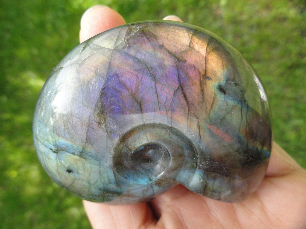 LABRADORITE AMMONITE CARVING With Extreme Flash~ Stone of  Clairvoyance, Telepathy, Prophecy* - Earth Family Crystals
