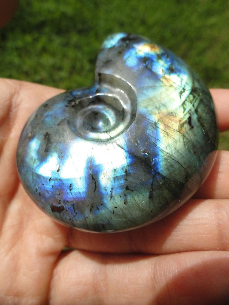 LABRADORITE AMMONITE CARVING With Extreme Flash~ Stone of  Clairvoyance, Telepathy, Prophecy* - Earth Family Crystals