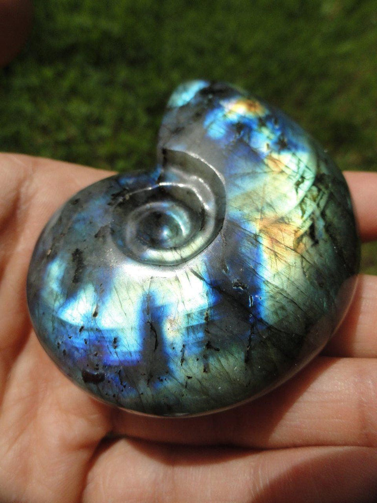 LABRADORITE AMMONITE CARVING With Extreme Flash~ Stone of  Clairvoyance, Telepathy, Prophecy* - Earth Family Crystals