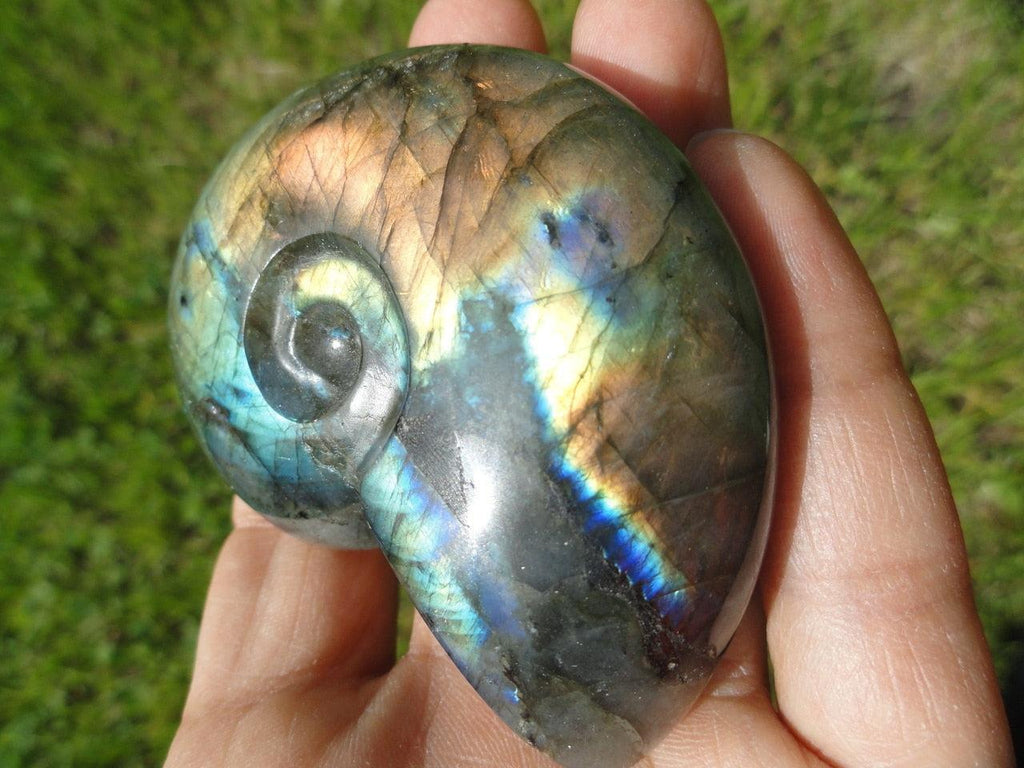 LABRADORITE AMMONITE CARVING With Extreme Flash~ Stone of  Clairvoyance, Telepathy, Prophecy* - Earth Family Crystals