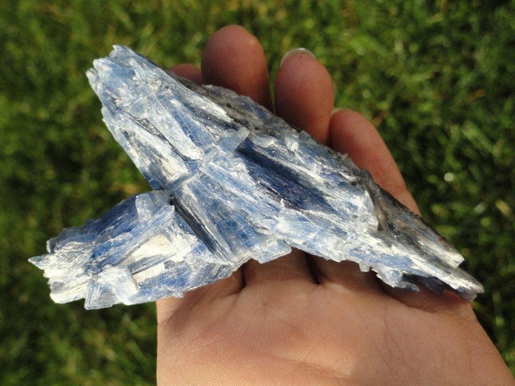 Large BLUE KYANITE SPECIMEN - Earth Family Crystals
