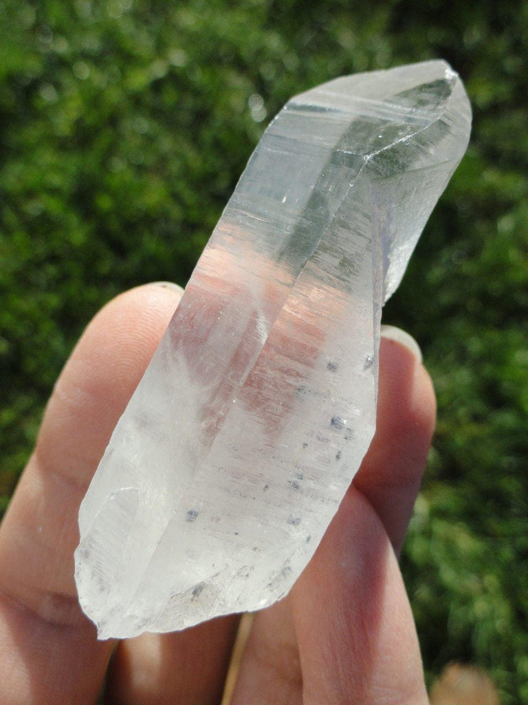High Vibration LEMURIAN POINT WITH MOLYBDENITE INCLUSIONS - Earth Family Crystals