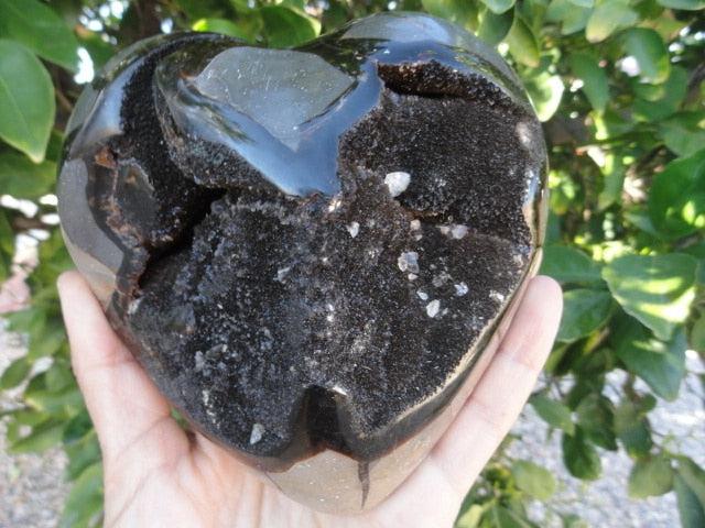 Giant SEPTARIAN DRAGON GEODE HEART With Calcite Inclusions - Earth Family Crystals