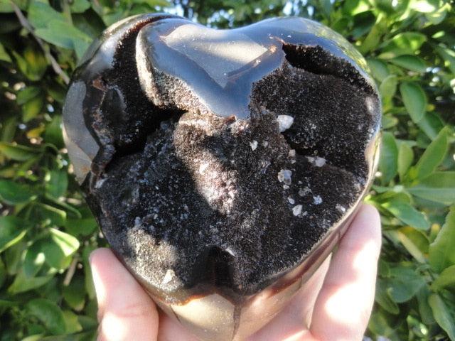 Giant SEPTARIAN DRAGON GEODE HEART With Calcite Inclusions - Earth Family Crystals