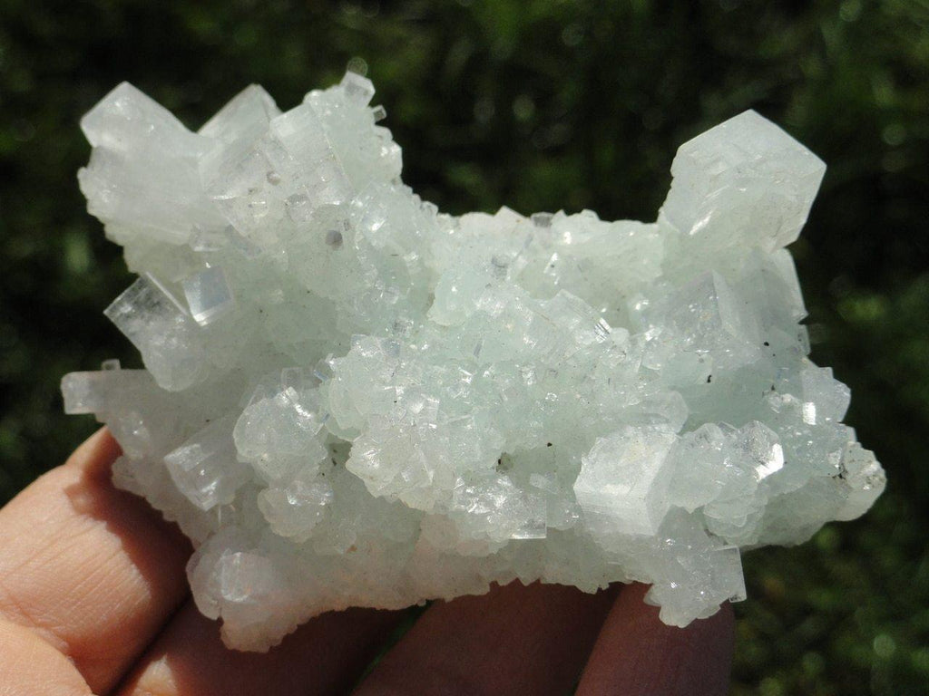 GREEN PREHNITE & GREEN APOPHYLLITE CLUSTER From India - Earth Family Crystals