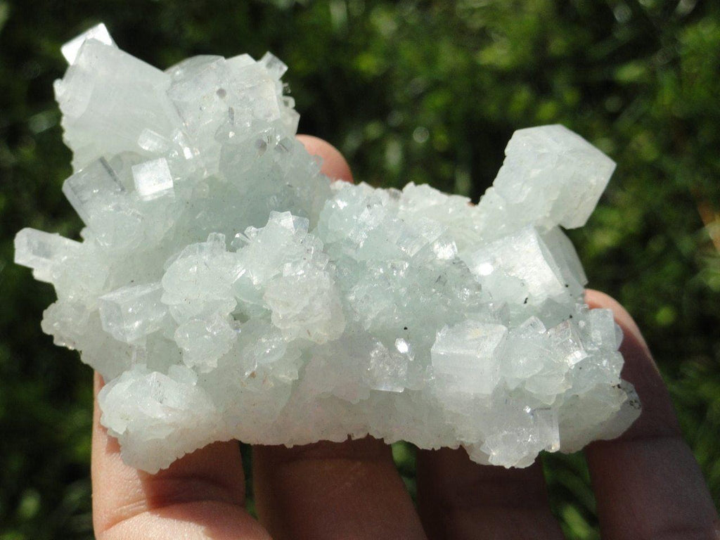 GREEN PREHNITE & GREEN APOPHYLLITE CLUSTER From India - Earth Family Crystals