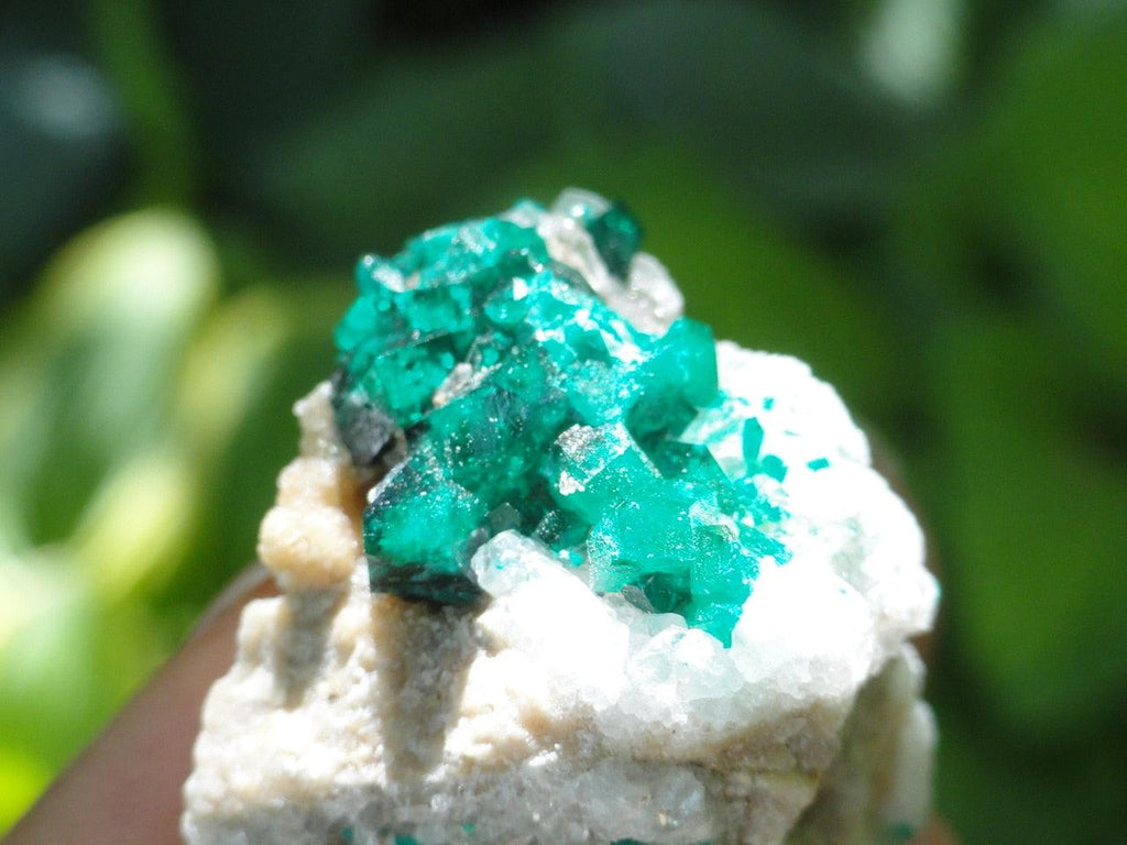 Emerald Green DIOPTASE CLUSTER~ Stone of Prosperity, Healing Emotional Pain* - Earth Family Crystals