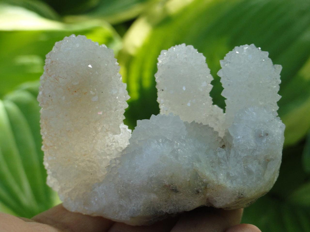 WHITE SPIRIT QUARTZ CLUSTER - Earth Family Crystals