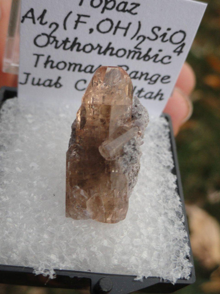 AMAZING CLARITY GOLDEN TOPAZ COLLECTORS SPECIMEN IN PROTECTIVE CASE** - Earth Family Crystals