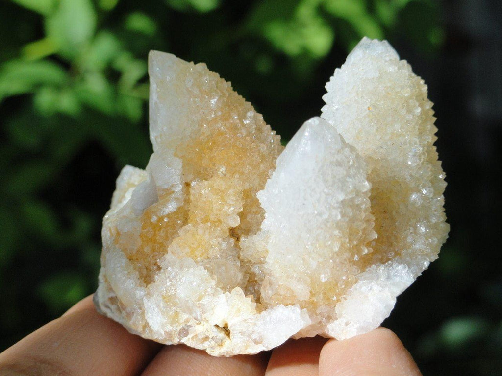 CITRINE SPIRIT QUARTZ CLUSTER~ Stone of Empowerment* - Earth Family Crystals