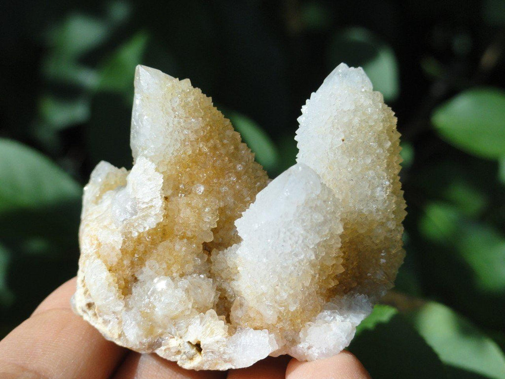 CITRINE SPIRIT QUARTZ CLUSTER~ Stone of Empowerment* - Earth Family Crystals