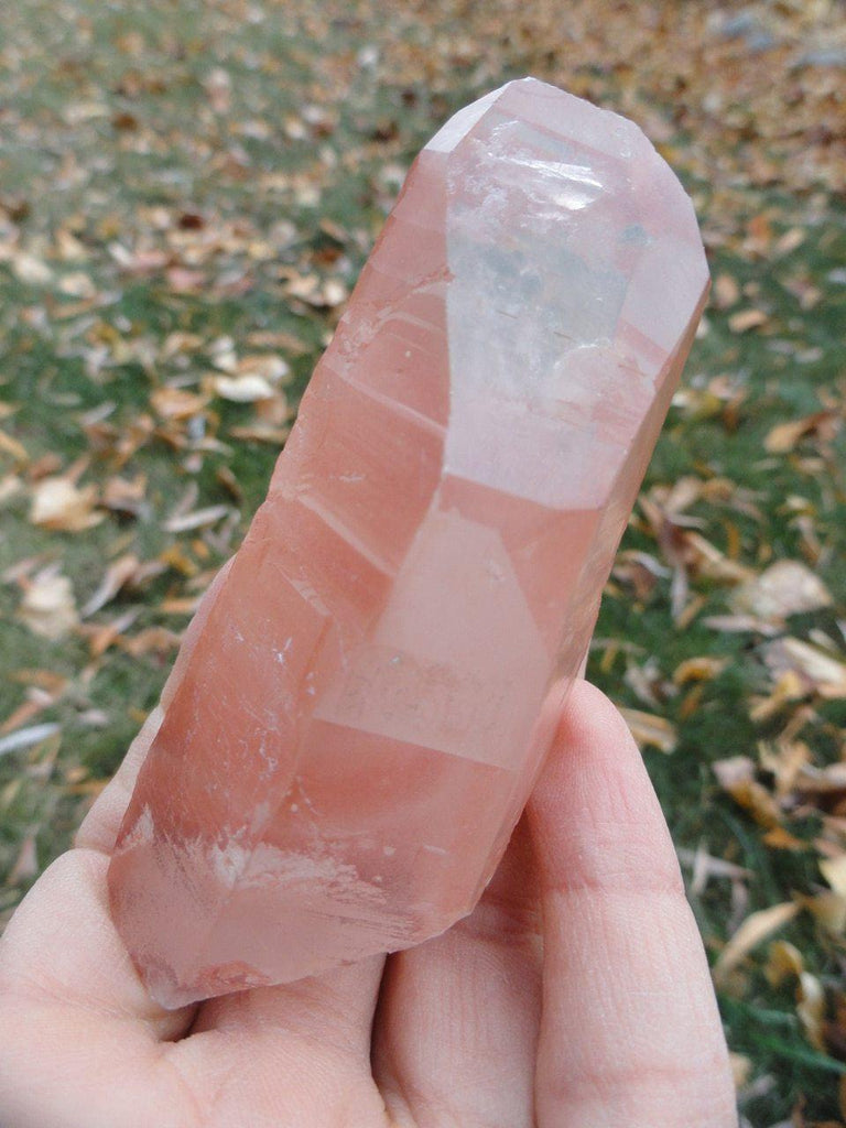 New Find! STRAWBERRY LEMURIAN CRYSTAL POINT (Aka Scarlet Temple Lemurian) - Earth Family Crystals