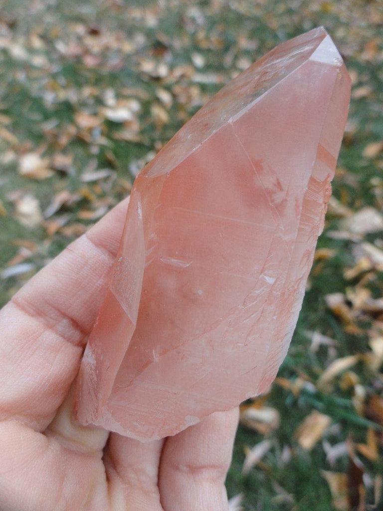 New Find! STRAWBERRY LEMURIAN CRYSTAL POINT (Aka Scarlet Temple Lemurian) - Earth Family Crystals