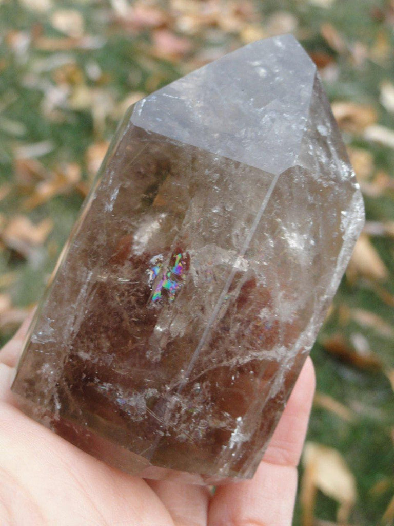 Amazing SMOKY QUARTZ GENERATOR With RUTILE Threads From Brazil - Earth Family Crystals