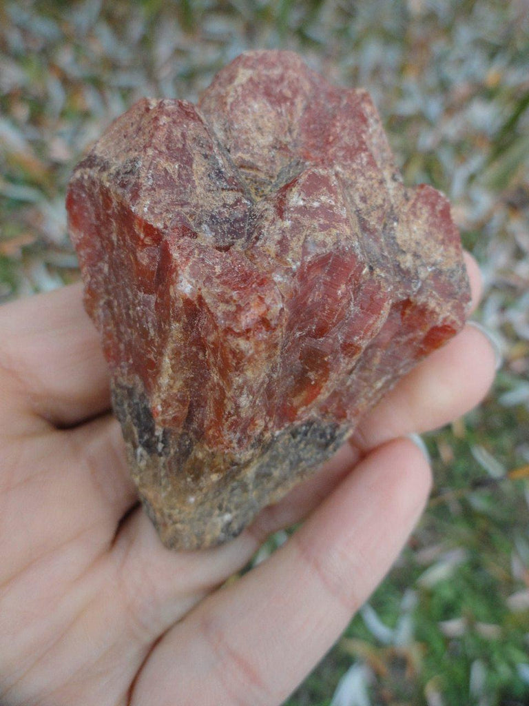 RARE! RED TIPPED AMETHYST POINT FROM BRAZIL** - Earth Family Crystals
