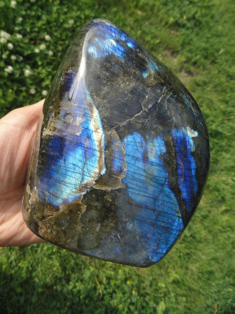 LABRADORITE SELF STANDING SPECIMEN~ Stone of  Magical Abilities & Psychic Powers* - Earth Family Crystals