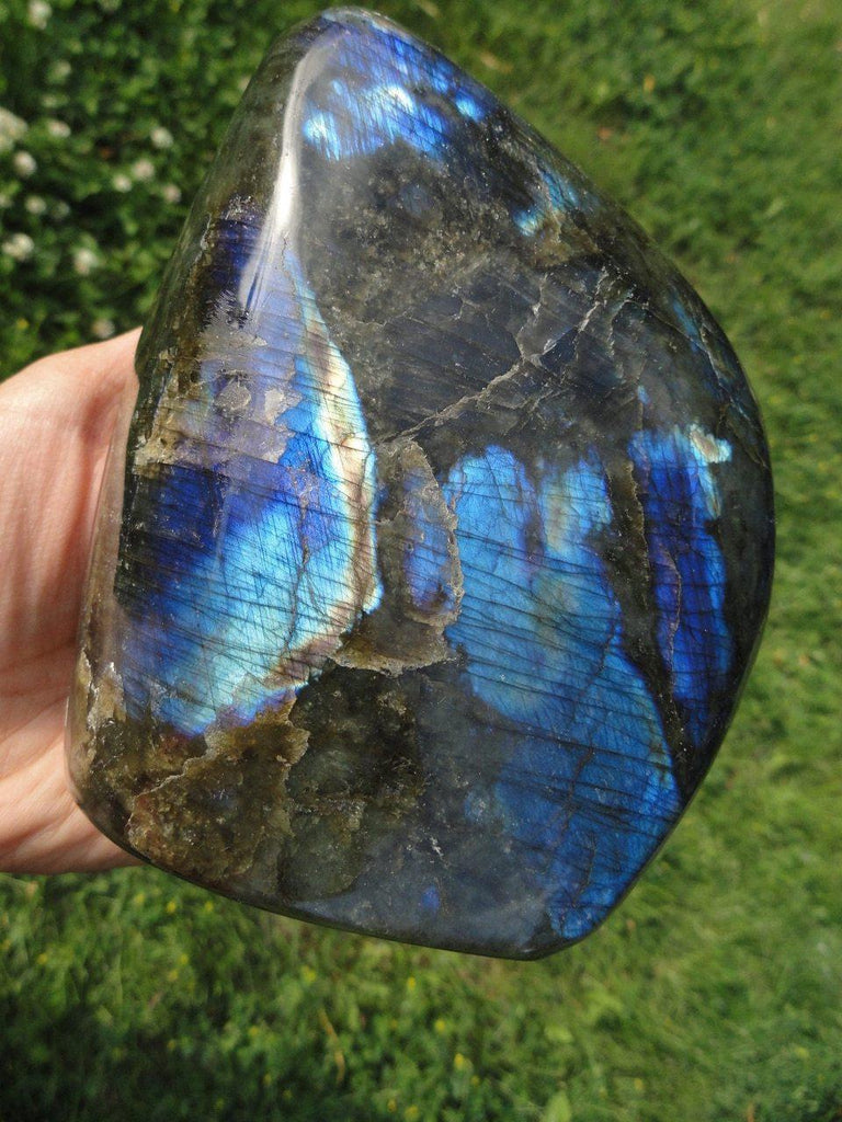 LABRADORITE SELF STANDING SPECIMEN~ Stone of  Magical Abilities & Psychic Powers* - Earth Family Crystals