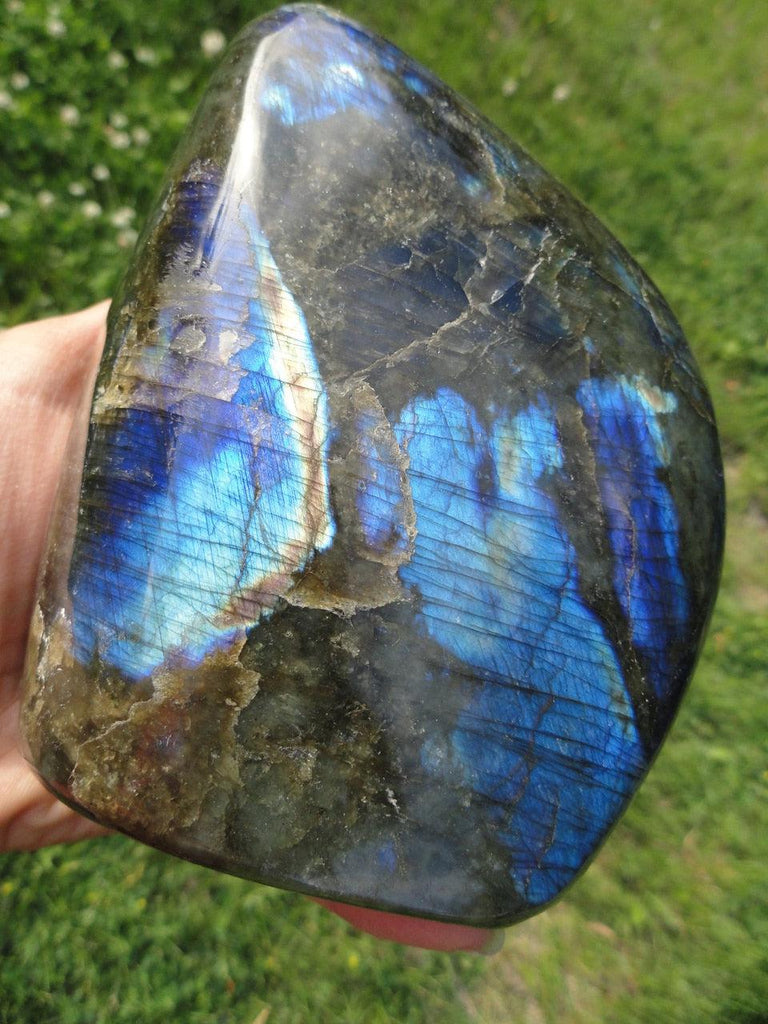 LABRADORITE SELF STANDING SPECIMEN~ Stone of  Magical Abilities & Psychic Powers* - Earth Family Crystals