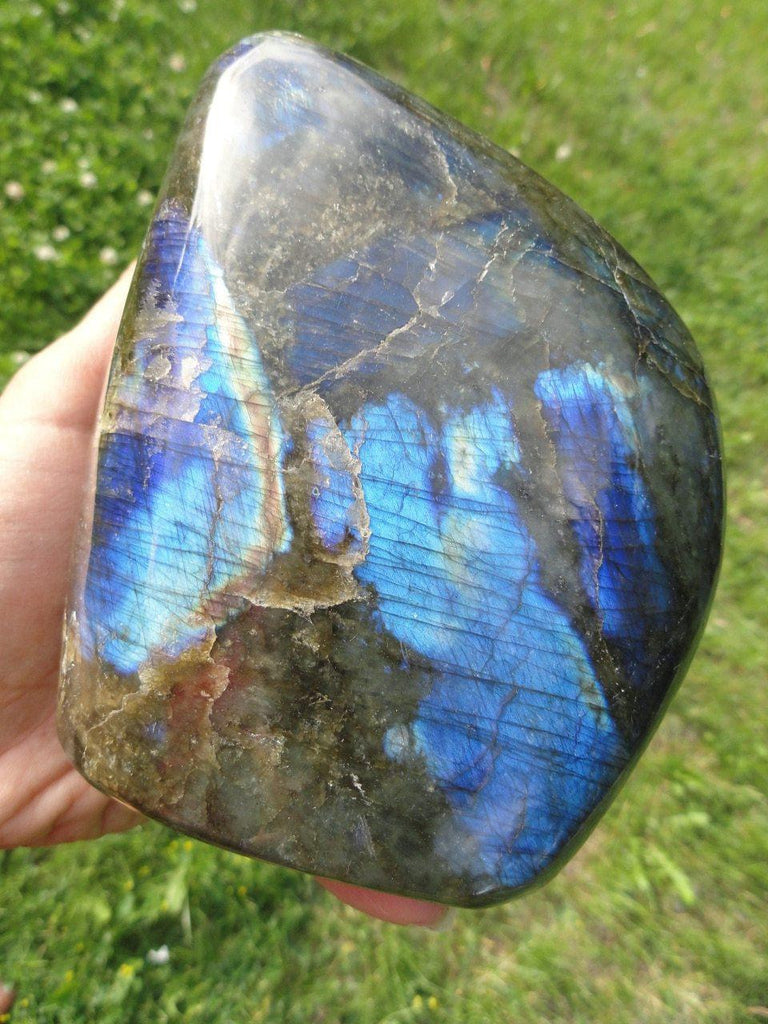LABRADORITE SELF STANDING SPECIMEN~ Stone of  Magical Abilities & Psychic Powers* - Earth Family Crystals