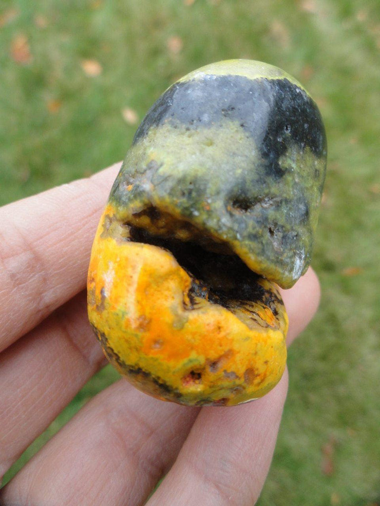 BUMBLEBEE JASPER SPECIMEN With Deep Cave - Earth Family Crystals