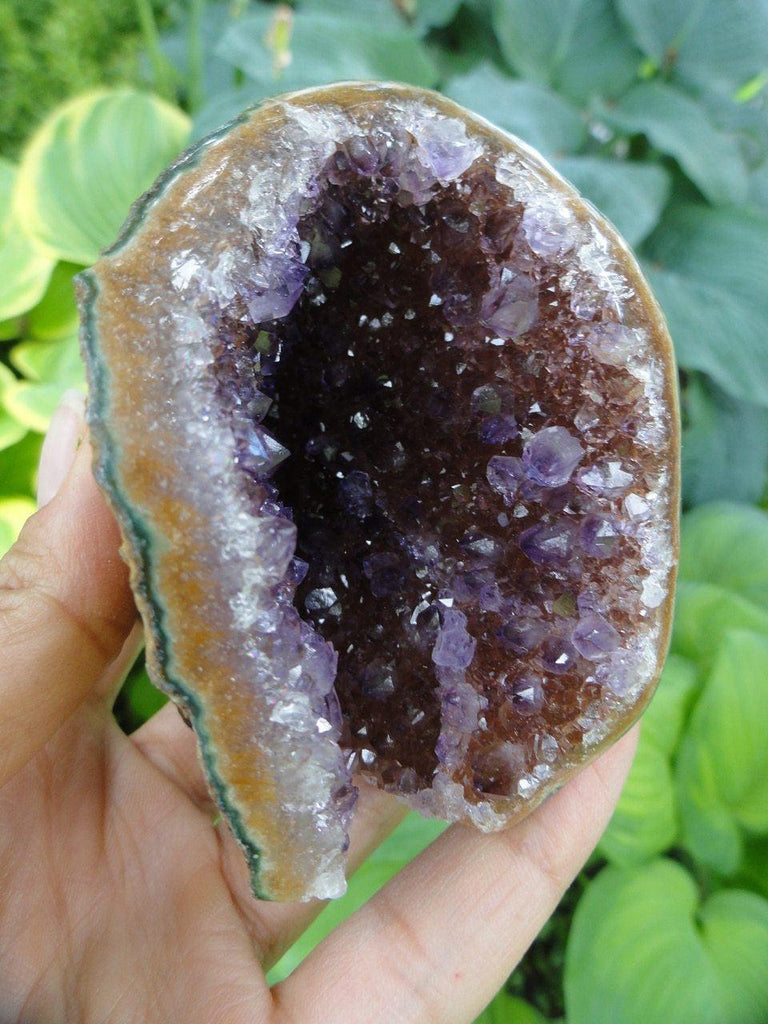 AMETHYST GEODE~ Stone of Protection, Freedom from Addictions* - Earth Family Crystals