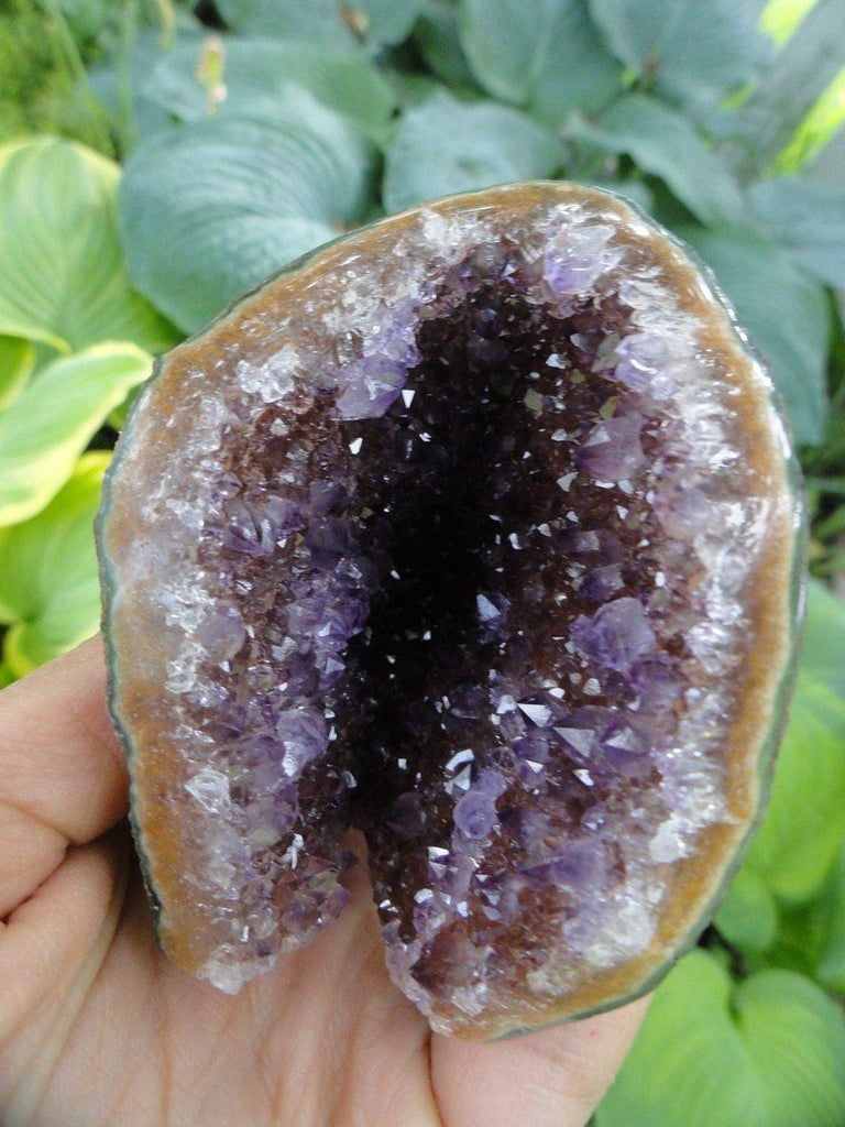AMETHYST GEODE~ Stone of Protection, Freedom from Addictions* - Earth Family Crystals