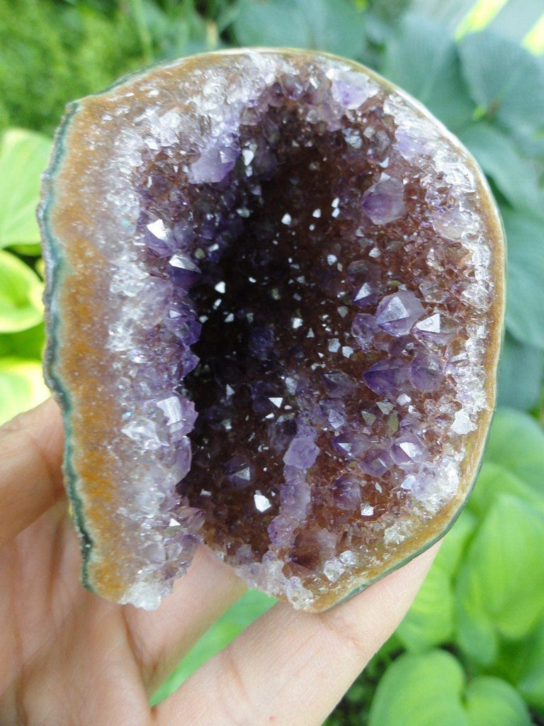 AMETHYST GEODE~ Stone of Protection, Freedom from Addictions* - Earth Family Crystals