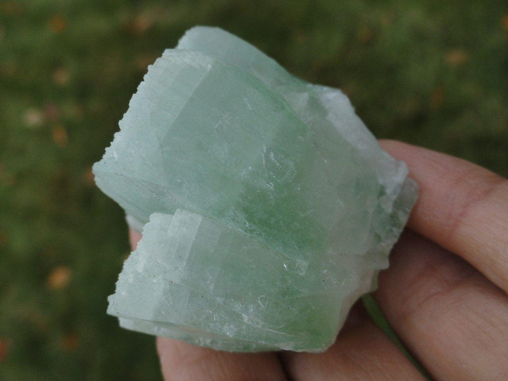 Multi Terminated GREEN APOPHYLLITE Specimen - Earth Family Crystals